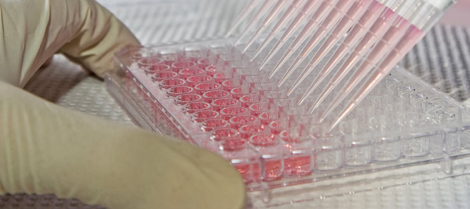 Analisis Microbiologicos